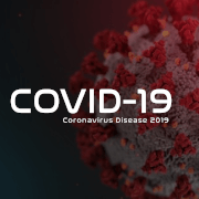 Corona Virus Data Image